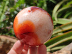 Polished Carnelian Agate Gemstone Spheres x 4 From Madagascar