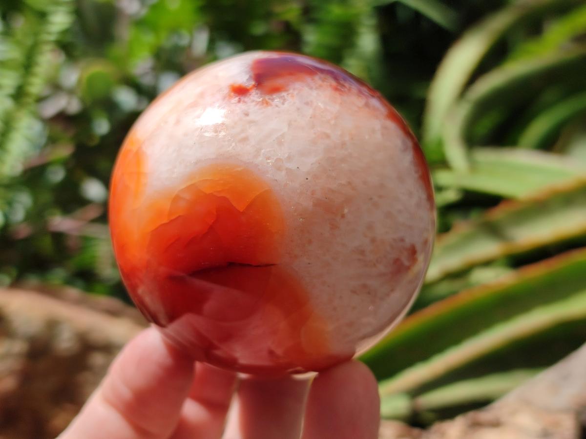 Polished Carnelian Agate Gemstone Spheres x 4 From Madagascar
