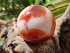 Polished Carnelian Agate Gemstone Spheres x 4 From Madagascar