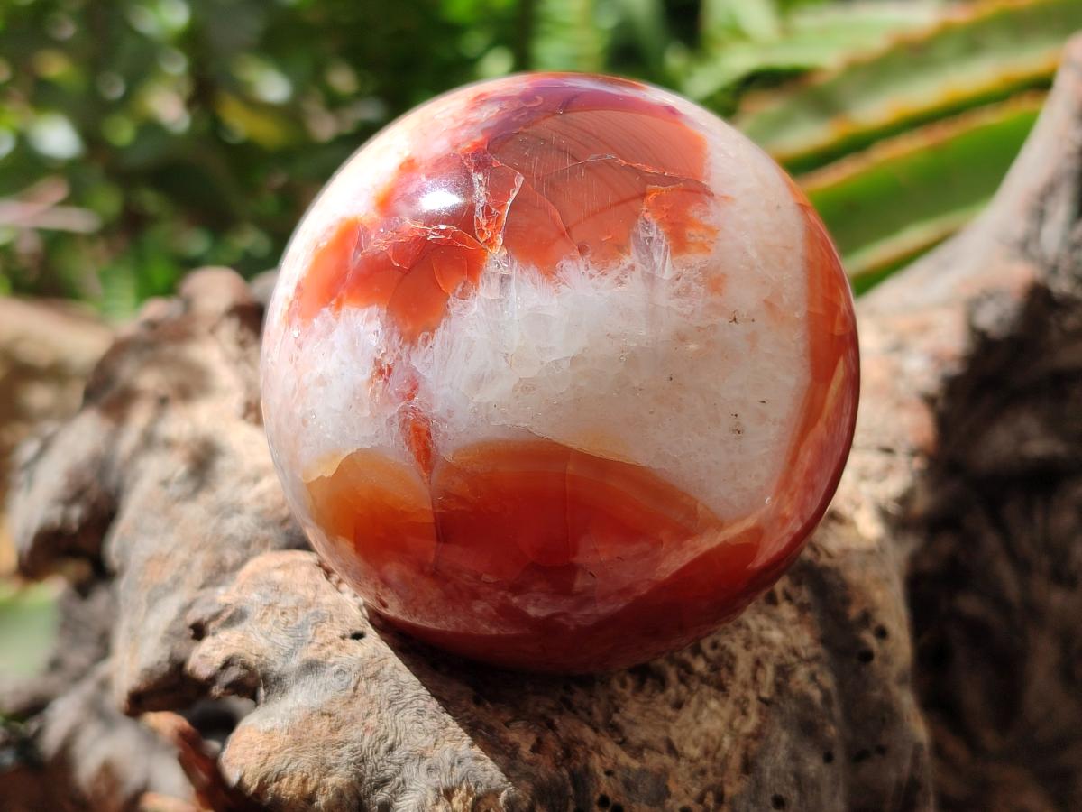Polished Carnelian Agate Gemstone Spheres x 4 From Madagascar