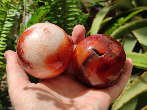 Polished Carnelian Agate Gemstone Spheres x 4 From Madagascar - Toprock Gemstones and Minerals 