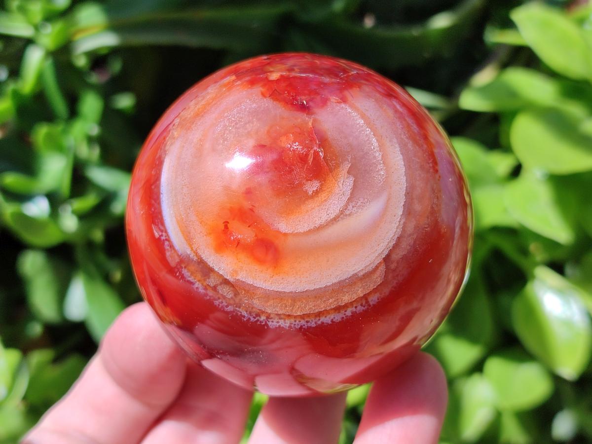 Polished Carnelian Agate Gemstone Spheres x 4 From Madagascar