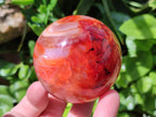 Polished Carnelian Agate Gemstone Spheres x 4 From Madagascar