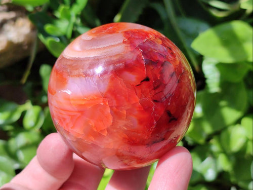 Polished Carnelian Agate Gemstone Spheres x 4 From Madagascar - Toprock Gemstones and Minerals 