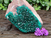 Natural Dioptase on Dolomite Specimen x 1 From Likasi, Congo