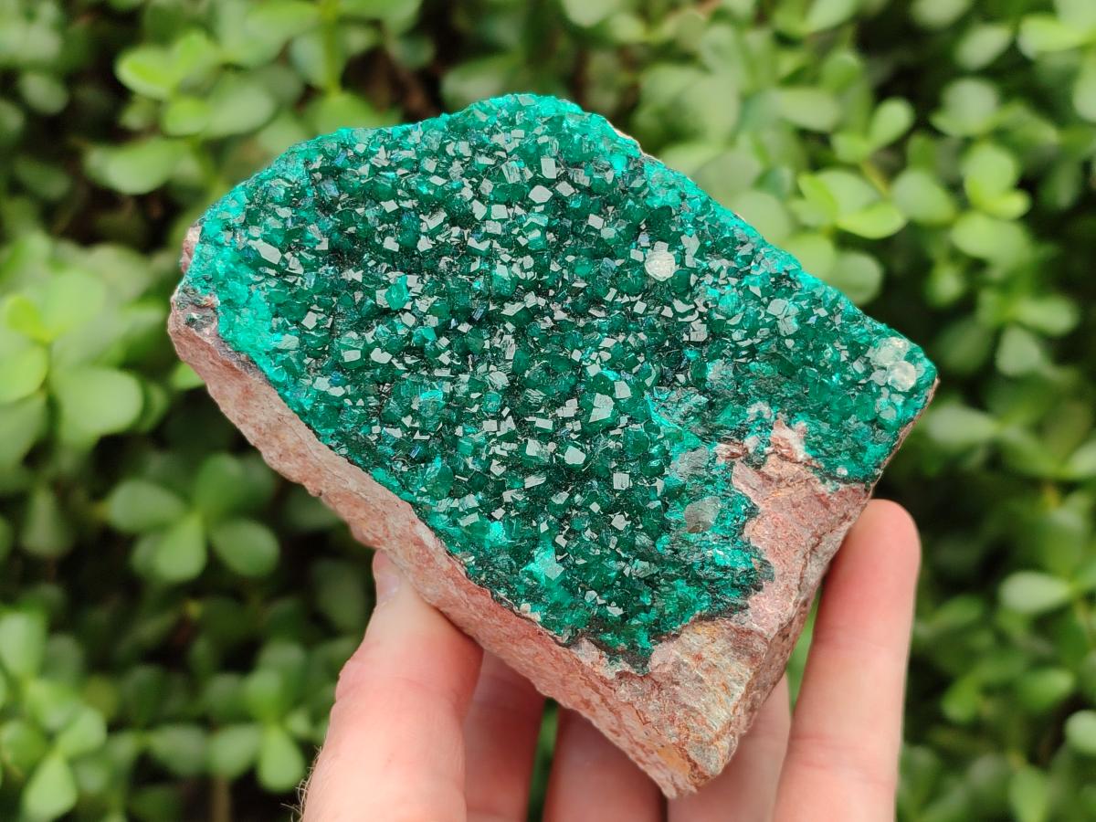 Natural Dioptase on Dolomite Specimen x 1 From Likasi, Congo