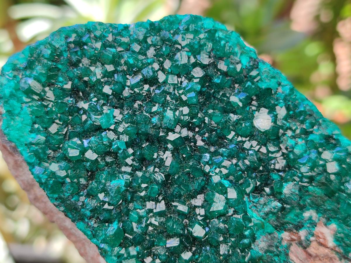 Natural Dioptase on Dolomite Specimen x 1 From Likasi, Congo