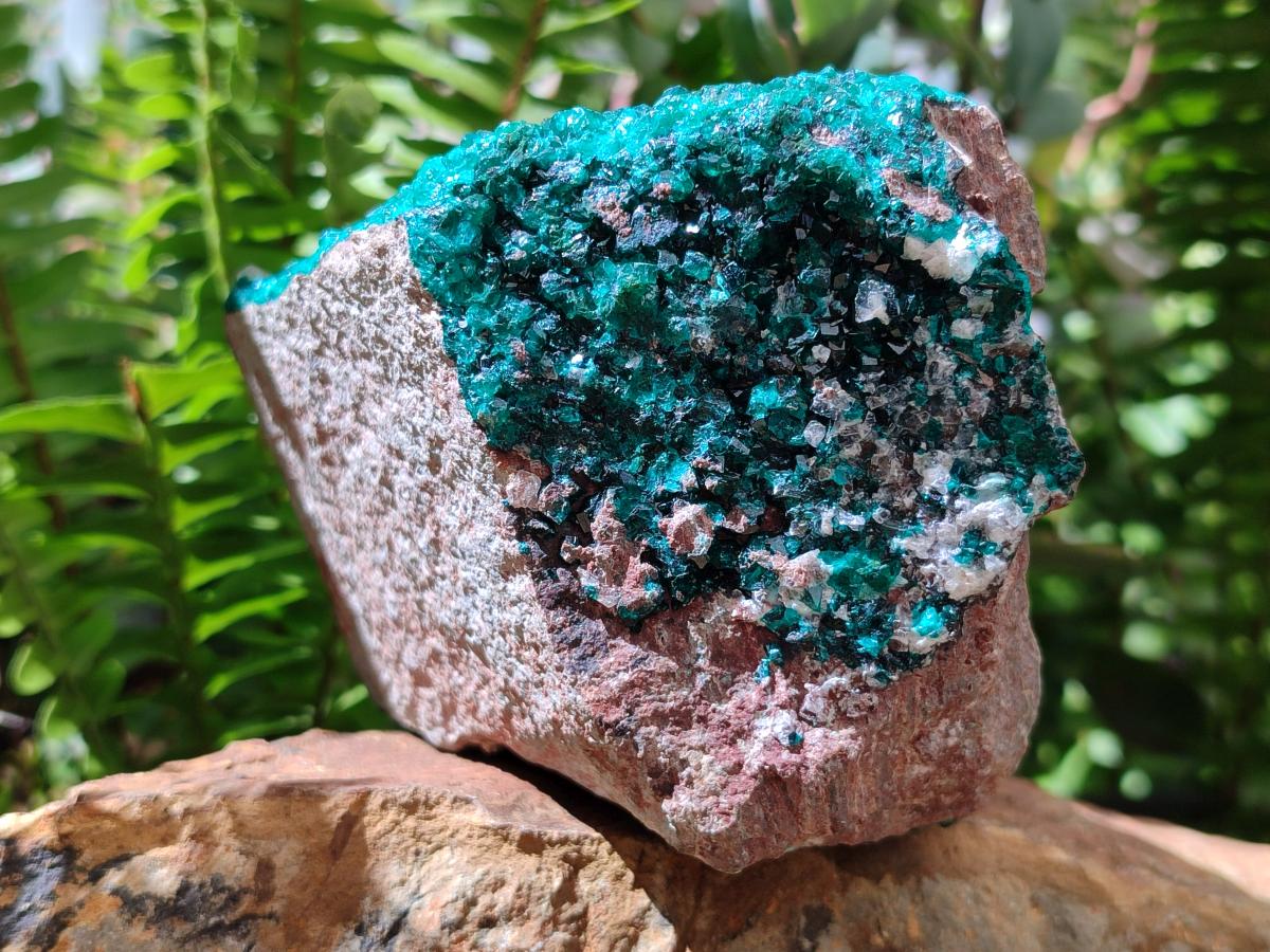 Natural Dioptase on Dolomite Specimen x 1 From Likasi, Congo