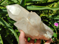 Natural Clear Cascading Quartz Crystal Cluster x 1 From Madagascar