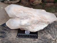 Natural Clear Cascading Quartz Crystal Cluster x 1 From Madagascar