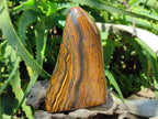 Polished Golden Tigers Eye with Banded Iron Stone Standing Free Forms x 2 From Prieska, South Africa