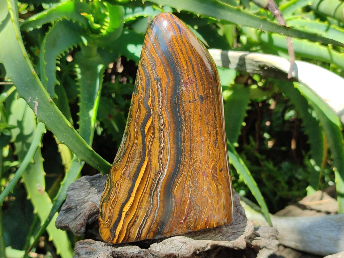 Polished Golden Tigers Eye with Banded Iron Stone Standing Free Forms x 2 From Prieska, South Africa