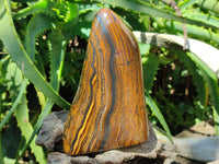 Polished Golden Tigers Eye with Banded Iron Stone Standing Free Forms x 2 From Prieska, South Africa