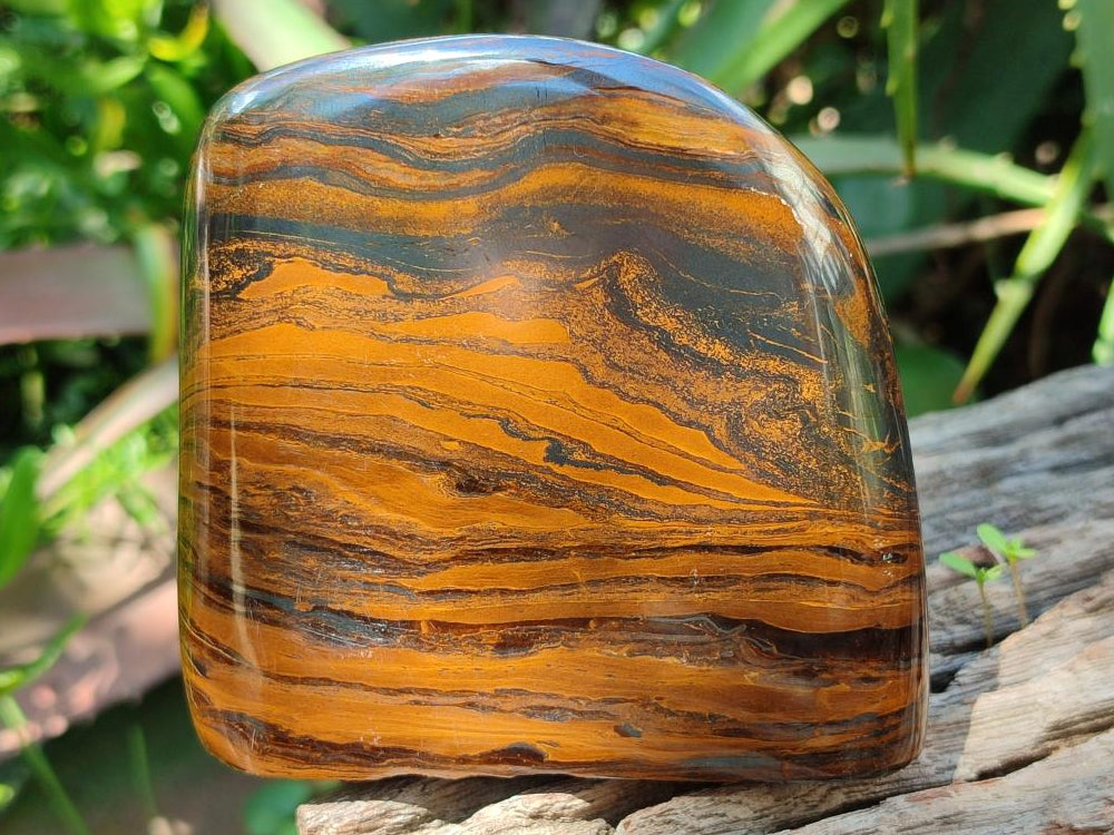 Polished Golden Tigers Eye with Banded Iron Stone Standing Free Forms x 2 From Prieska, South Africa