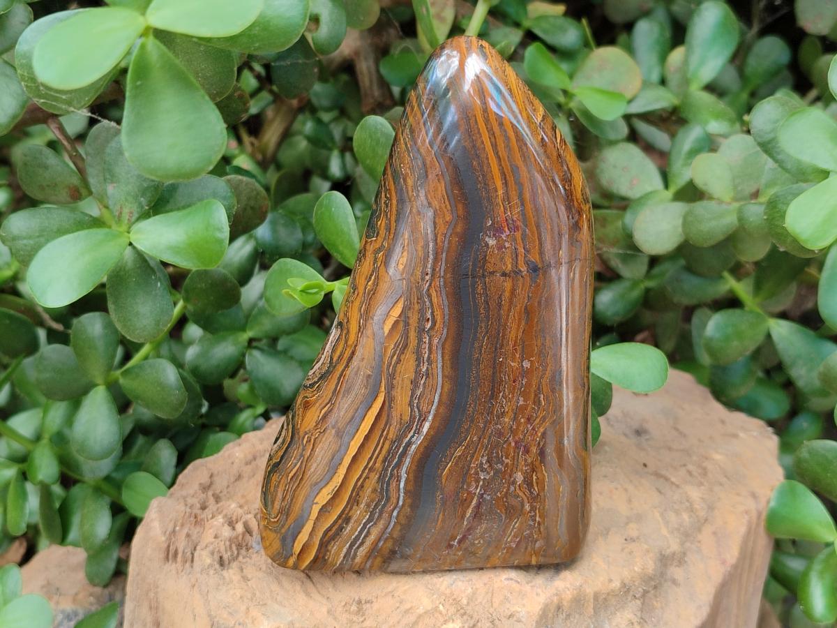 Polished Golden Tigers Eye with Banded Iron Stone Standing Free Forms x 2 From Prieska, South Africa
