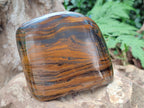 Polished Golden Tigers Eye with Banded Iron Stone Standing Free Forms x 2 From Prieska, South Africa