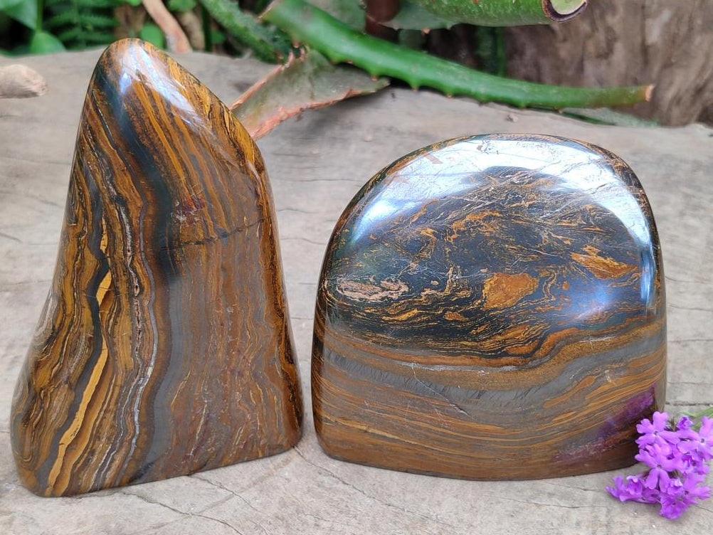 Polished Golden Tigers Eye with Banded Iron Stone Standing Free Forms x 2 From Prieska, South Africa