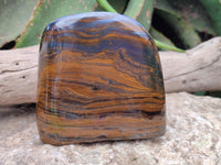Polished Golden Tigers Eye with Banded Iron Stone Standing Free Forms x 2 From Prieska, South Africa