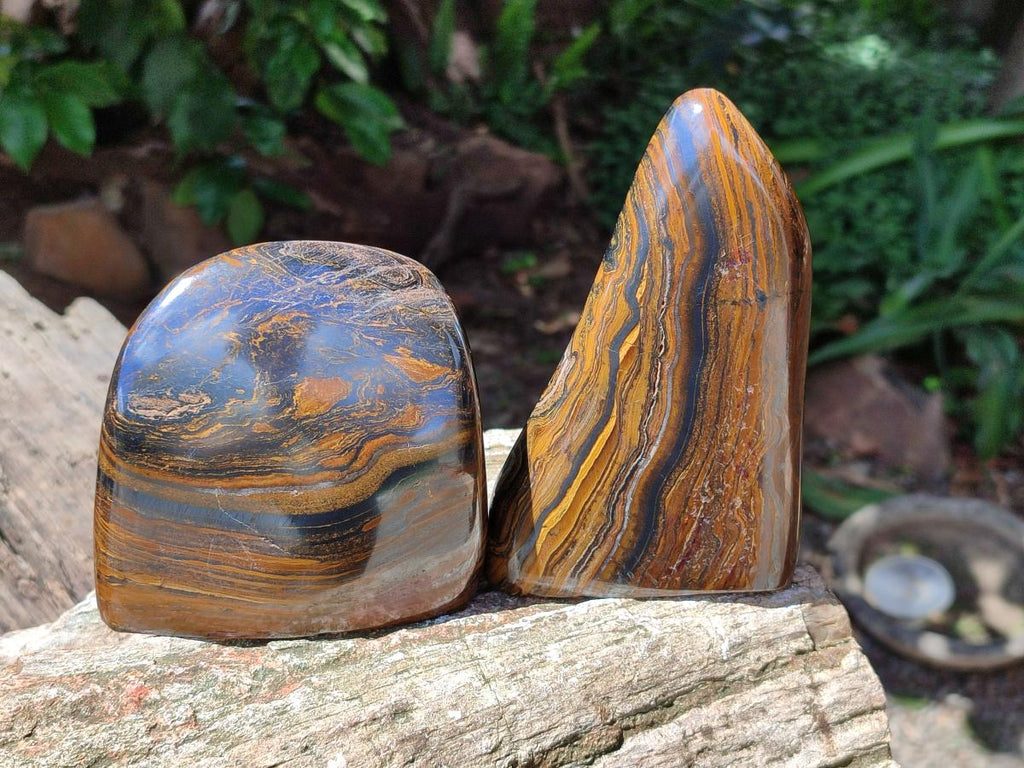 Polished Golden Tigers Eye with Banded Iron Stone Standing Free Forms x 2 From Prieska, South Africa
