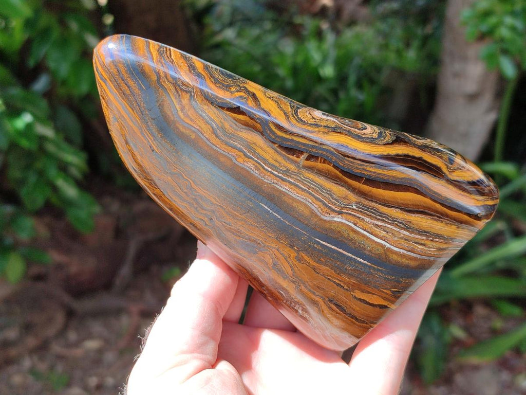 Polished Golden Tigers Eye with Banded Iron Stone Standing Free Forms x 2 From Prieska, South Africa