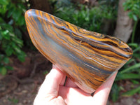 Polished Golden Tigers Eye with Banded Iron Stone Standing Free Forms x 2 From Prieska, South Africa