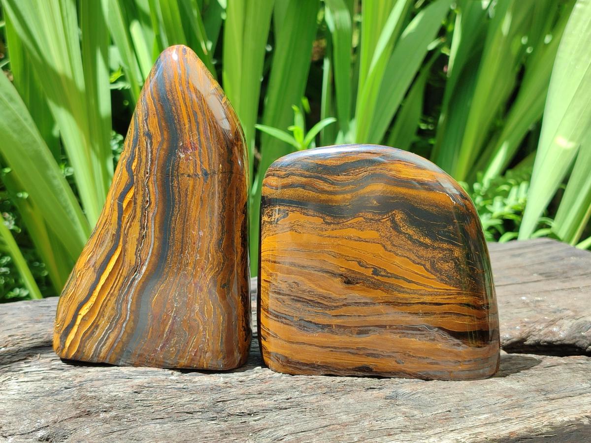 Polished Golden Tigers Eye with Banded Iron Stone Standing Free Forms x 2 From Prieska, South Africa