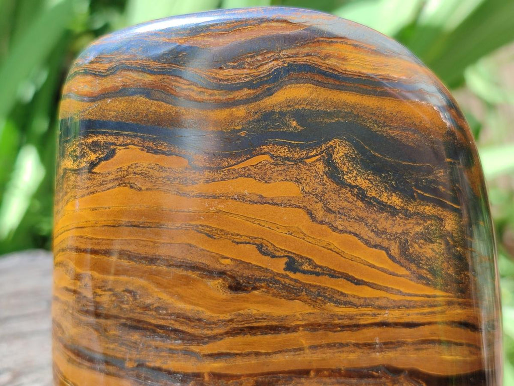 Polished Golden Tigers Eye with Banded Iron Stone Standing Free Forms x 2 From Prieska, South Africa