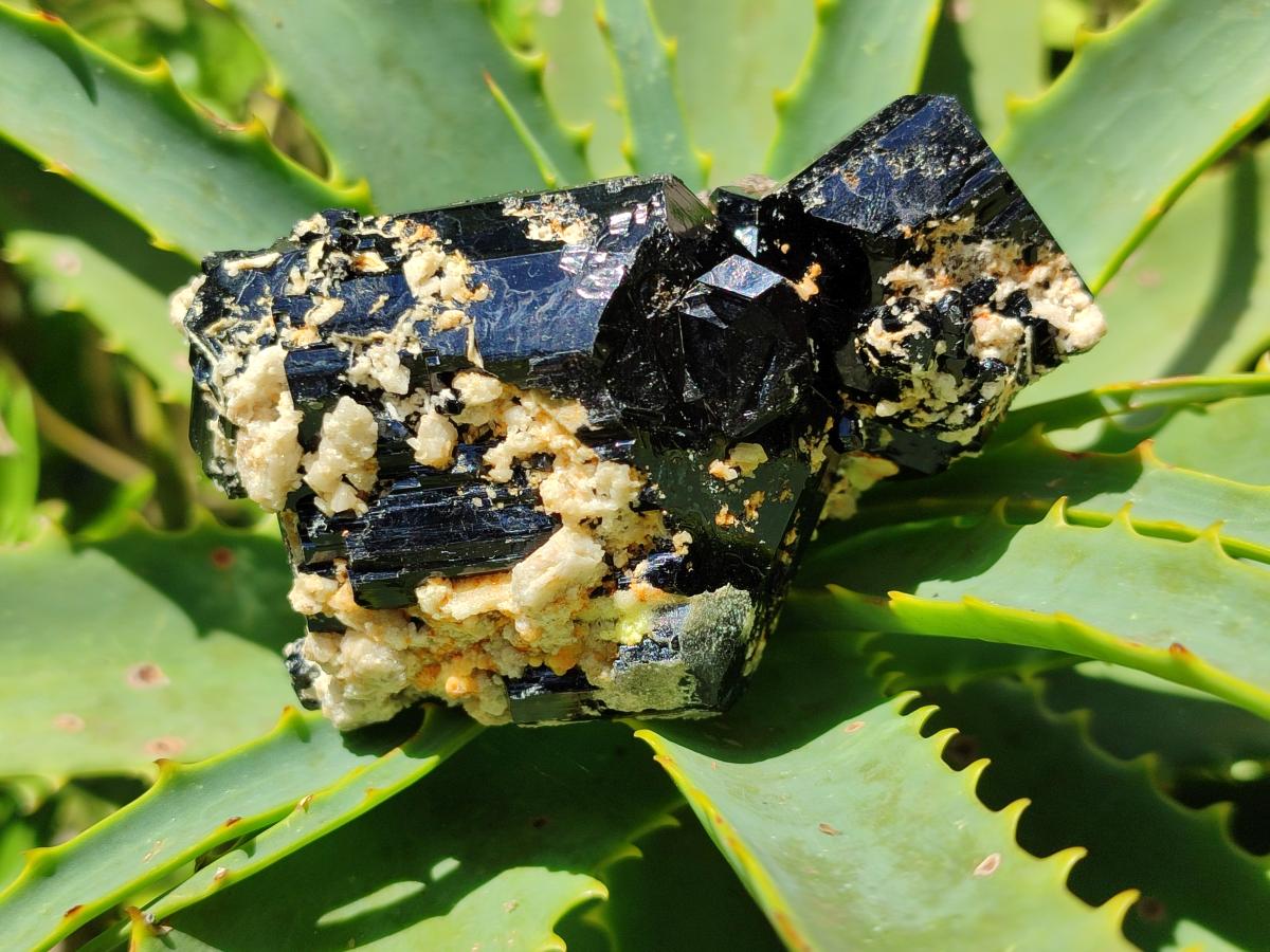 Natural Black Schorl Tourmaline Specimens x 3 From Erongo, Namibia