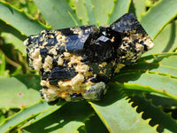 Natural Black Schorl Tourmaline Specimens x 3 From Erongo, Namibia