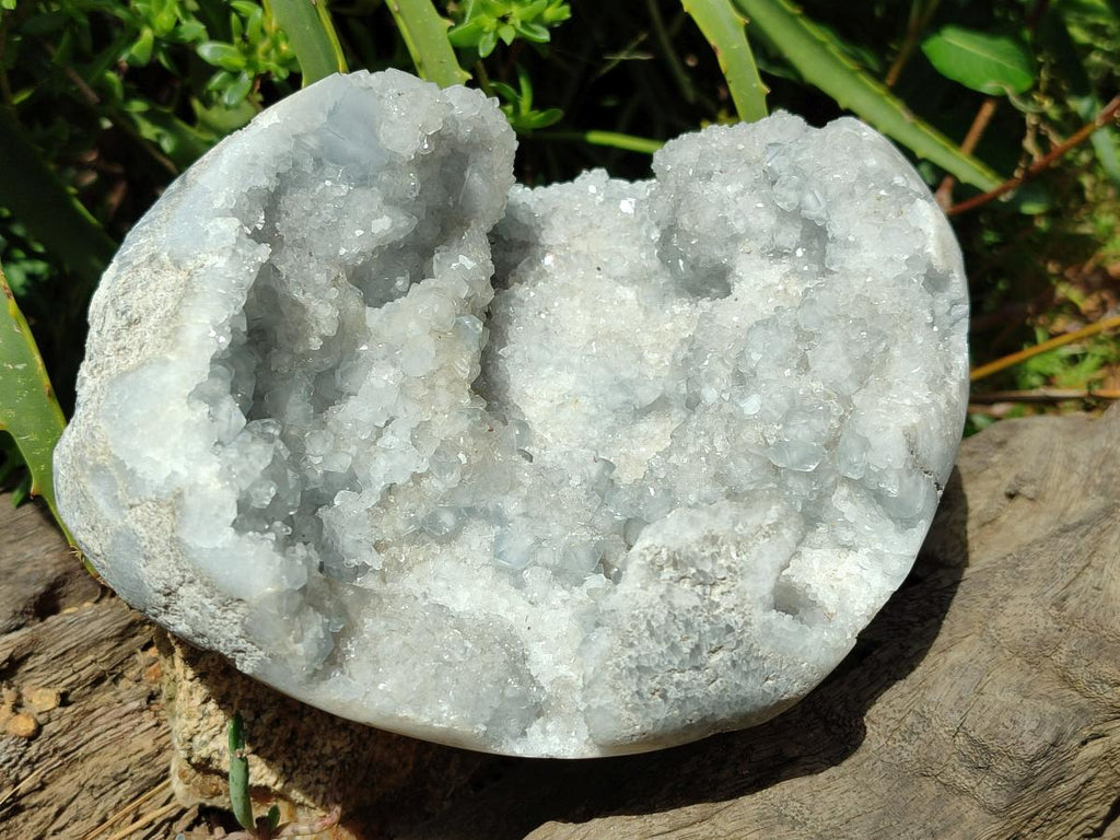 Polished Blue Celestite Geode Specimen x 1 From Sakoany, Madagascar - Toprock Gemstones and Minerals 
