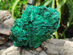 Natural Silky Malachite Specimens x 4 From Kasompe, Congo