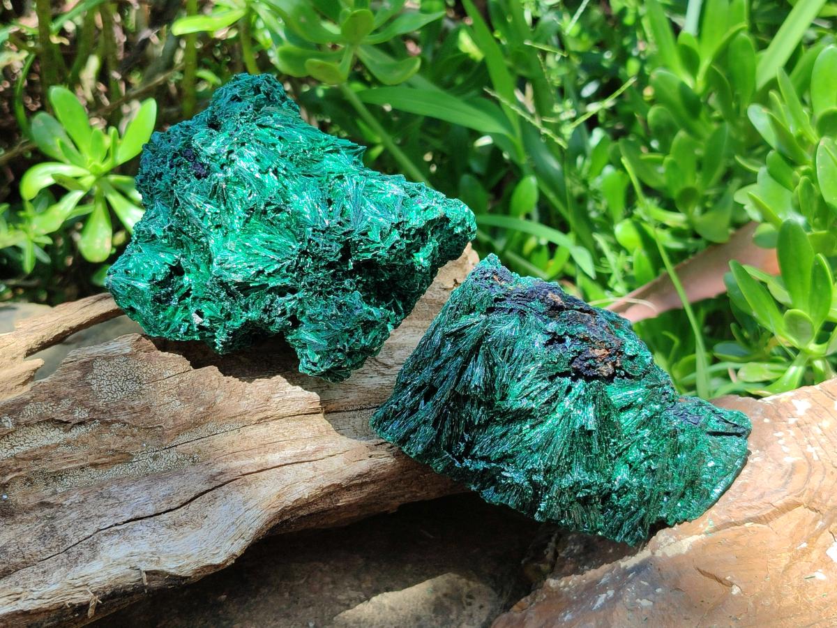 Natural Silky Malachite Specimens x 4 From Kasompe, Congo
