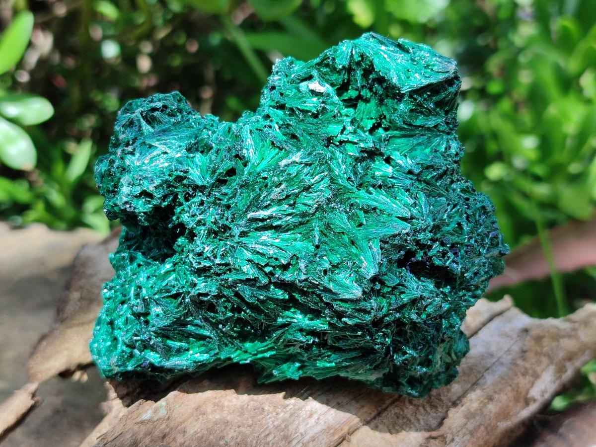 Natural Silky Malachite Specimens x 4 From Kasompe, Congo