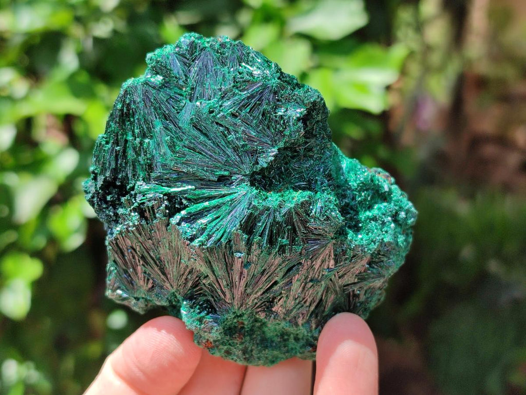Natural Silky Malachite Specimens x 4 From Kasompe, Congo