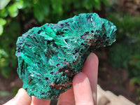 Natural Silky Malachite Specimens x 4 From Kasompe, Congo