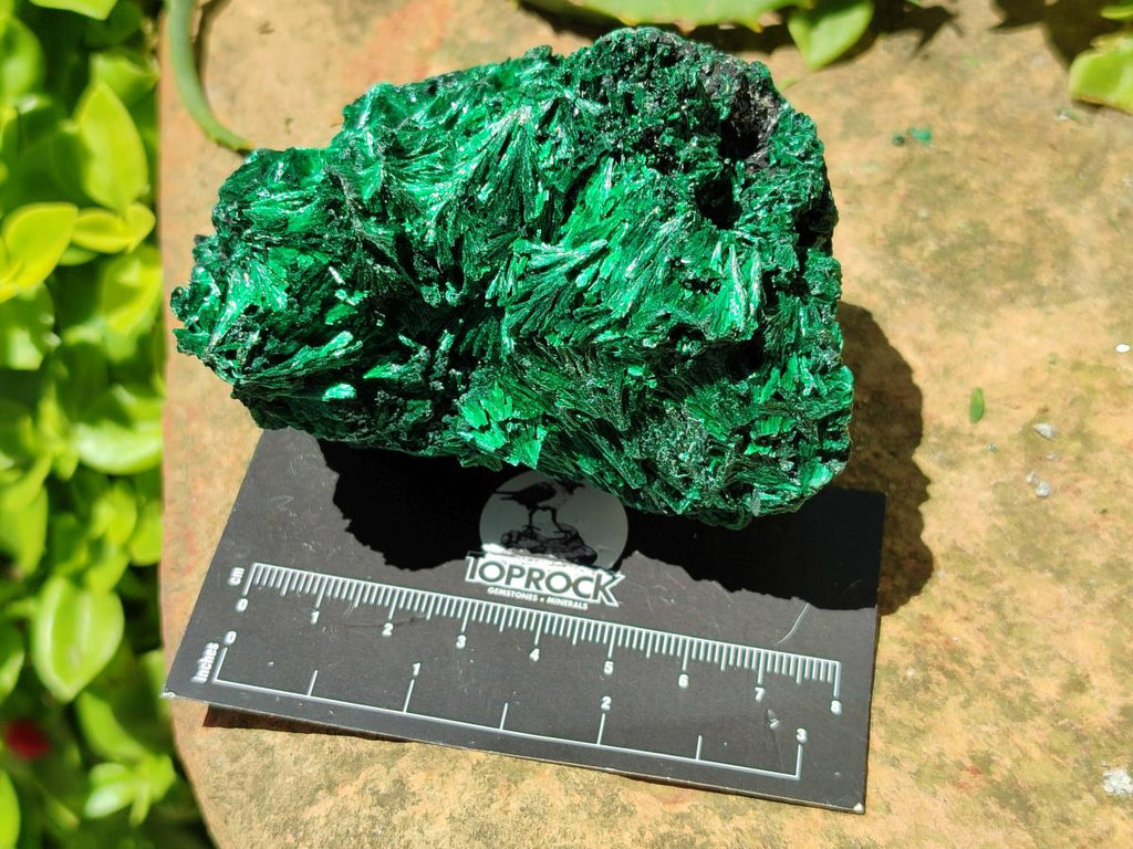 Natural Silky Malachite Specimens x 4 From Kasompe, Congo