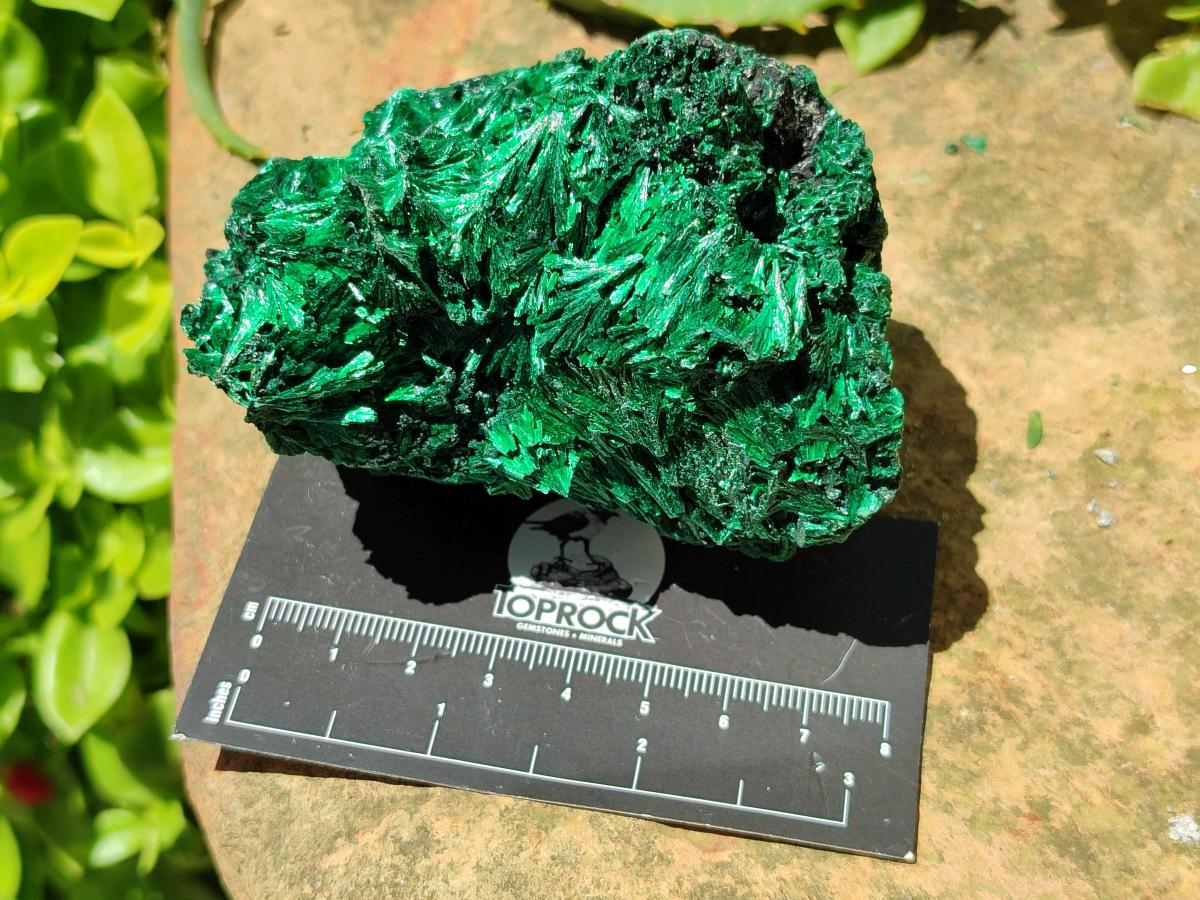 Natural Silky Malachite Specimens x 4 From Kasompe, Congo