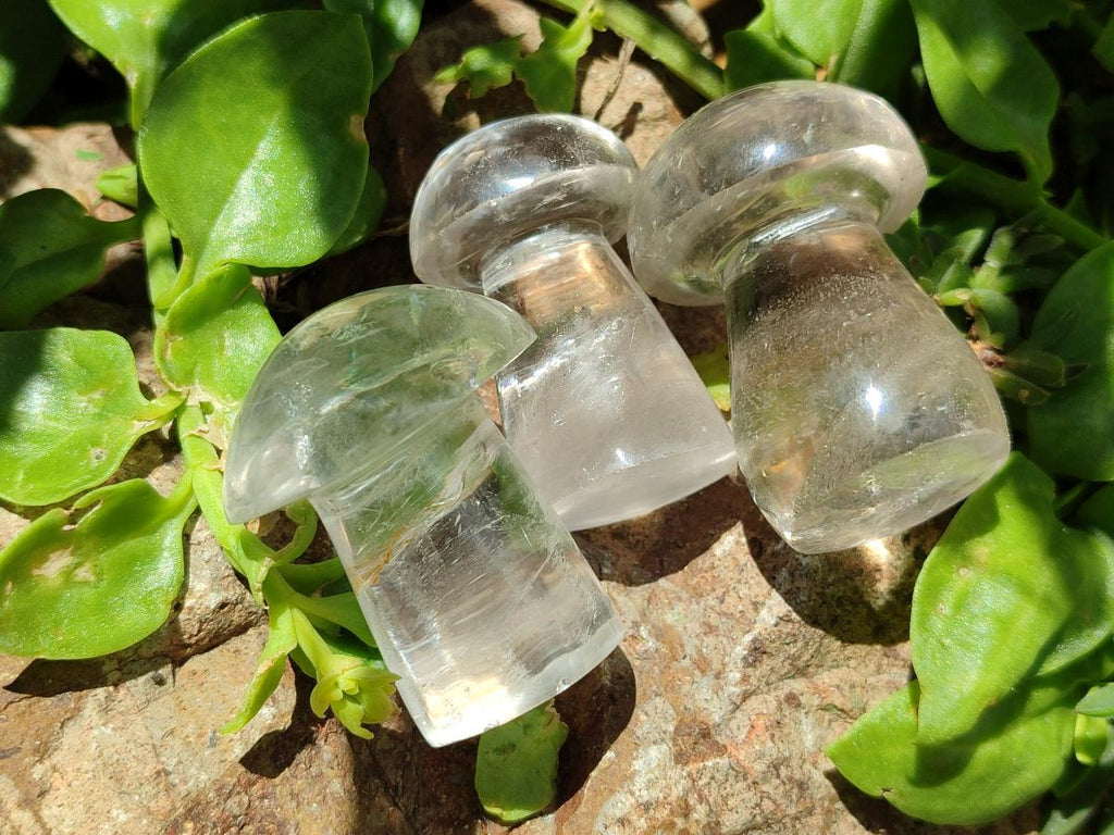 Polished Clear Quartz Mushrooms x 20 From Madagascar