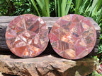 Hand Made Red Podocarpus Petrified Wood Conglomerate Mosaic Plaques x 4 From Mahajanga, Madagascar