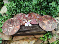 Hand Made Red Podocarpus Petrified Wood Conglomerate Mosaic Plaques x 4 From Mahajanga, Madagascar