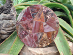 Hand Made Red Podocarpus Petrified Wood Conglomerate Mosaic Plaques x 4 From Mahajanga, Madagascar
