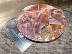 Hand Made Red Podocarpus Petrified Wood Conglomerate Mosaic Plaques x 4 From Mahajanga, Madagascar