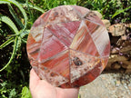 Hand Made Red Podocarpus Petrified Wood Conglomerate Mosaic Plaques x 4 From Mahajanga, Madagascar