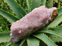 Natural Rare Rhodocalcite Specimens x 2 From Congo