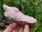 Natural Rare Rhodocalcite Specimens x 2 From Congo
