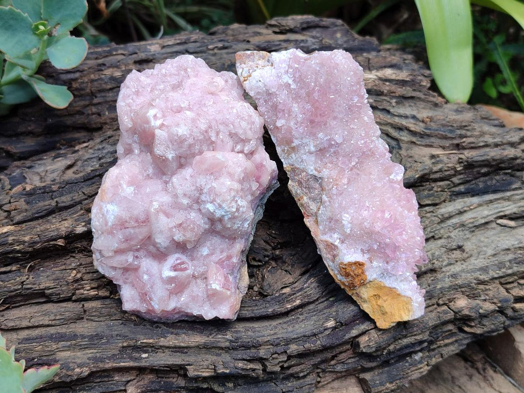 Natural Rare Rhodocalcite Specimens x 2 From Congo