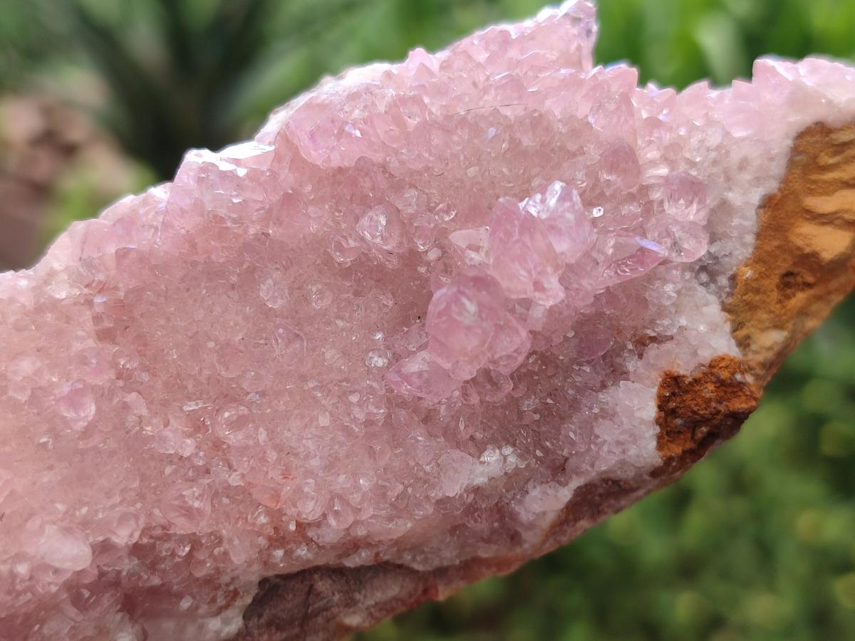 Natural Rare Rhodocalcite Specimens x 2 From Congo