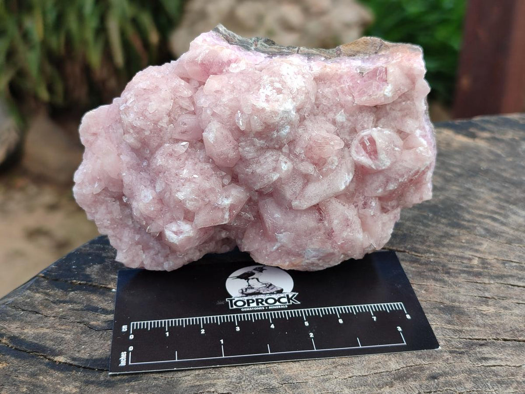 Natural Rare Rhodocalcite Specimens x 2 From Congo