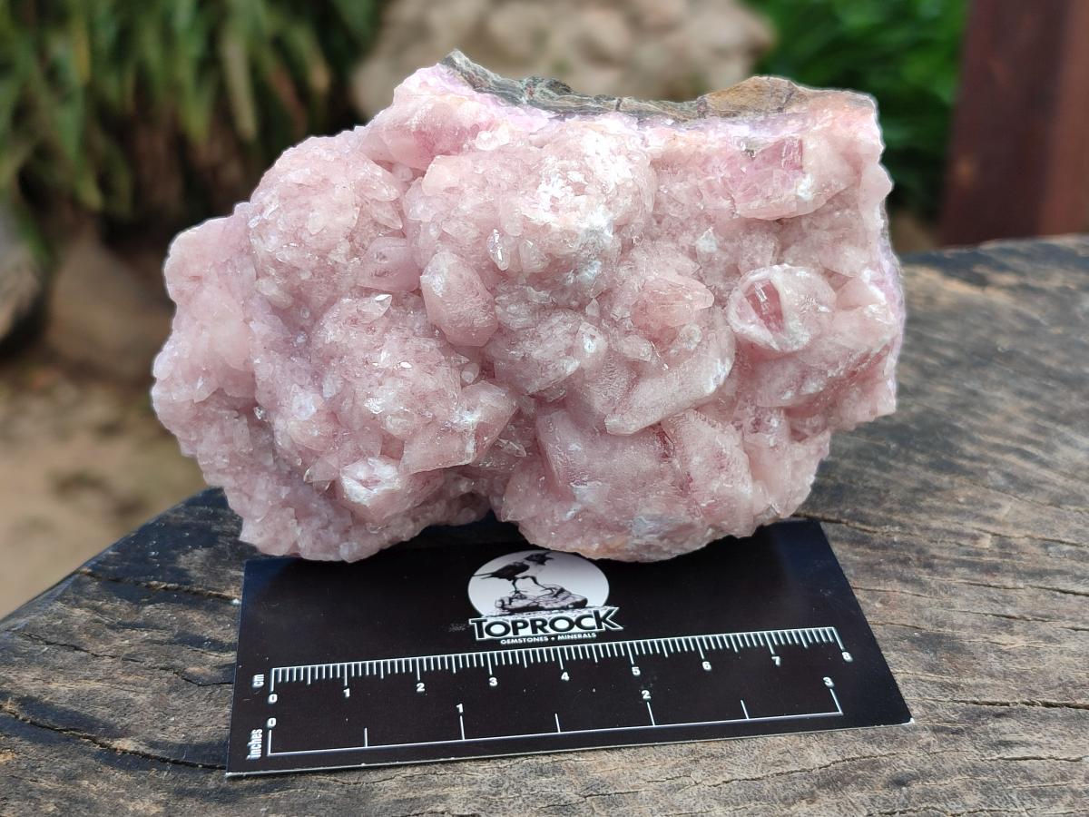 Natural Rare Rhodocalcite Specimens x 2 From Congo