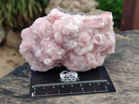 Natural Rare Rhodocalcite Specimens x 2 From Congo